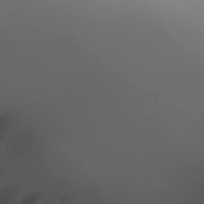 Thumbnail 48